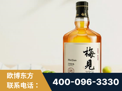 钟祥-梅见青梅酒